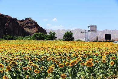 《守望先锋2》第三季1代游戏币回归 玩家又能免费获皮肤